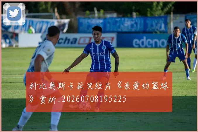 科比奥斯卡获奖短片《亲爱的篮球》赏析_20260708195225